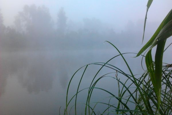 foto0148FC9B7EDE-EA01-7758-B2C9-F4ACB0EF19A7.jpg