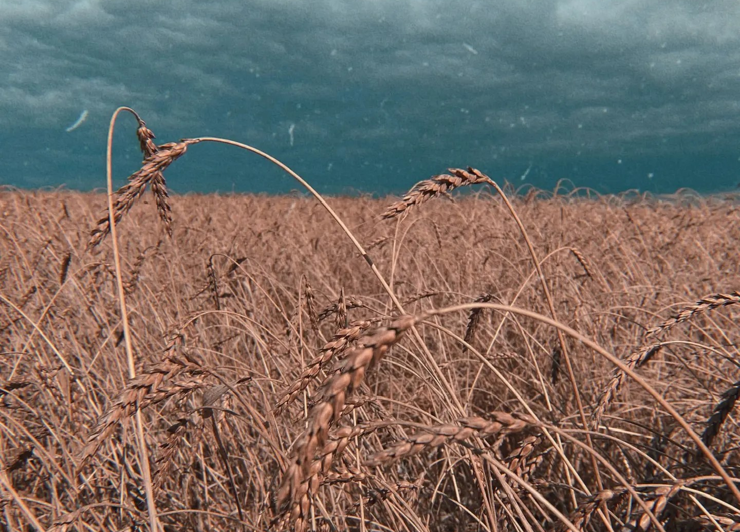 Путешествие по России в объективе: новые работы Анастасии Прониной  - участник фотоконкурса "Красота родного края"