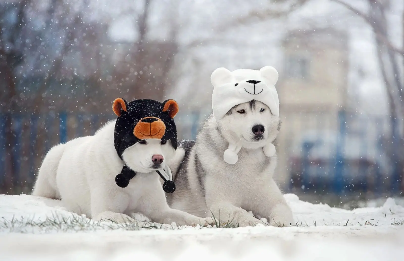 В объективе - душа Сибири