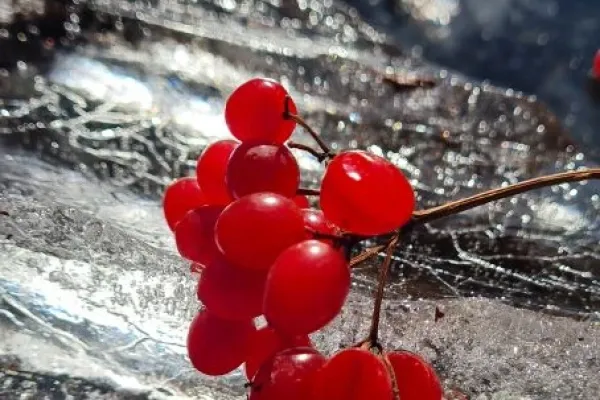 f5a83581-51fa-41e5-9928-da144c9dc6e5985F6F7F-DDE0-C5DA-49B5-990233EB12D8.webp